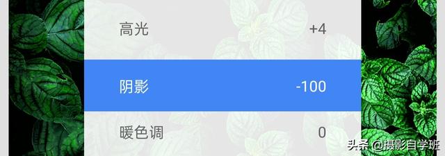 夏季花卉兴盛，拍照咋拍场面？很多绿叶在一道的像片咋和好看？