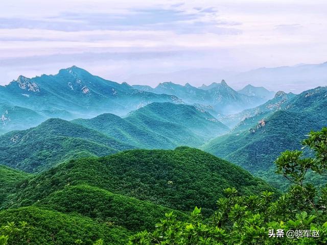 诸位中暮年拍照喜好者，尔等爱拍得意花鸟么？大师有场面的像片么？