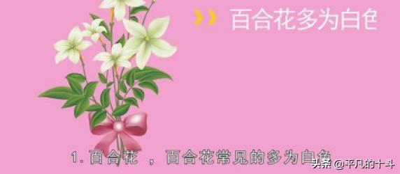 夏天的花是什么？