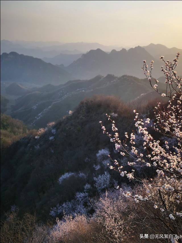 花儿图片:又到拍摄花儿的时节，怎样运用花儿的时髦来表达情绪？