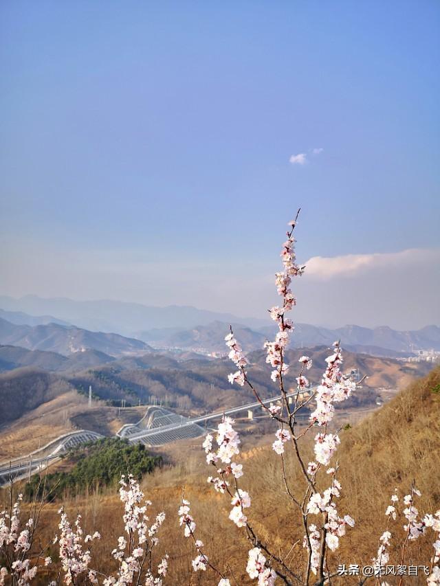 花儿图片:又到拍摄花儿的时节，怎样运用花儿的时髦来表达情绪？