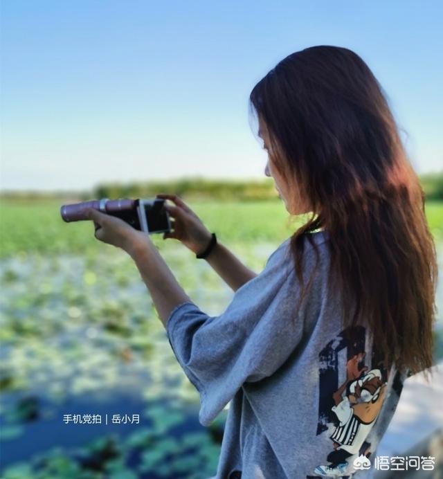 荷花照片
:荷花经常拍，但你有没有想过如何把普通的荷叶给拍美？分享一下你拍荷叶感受吧？