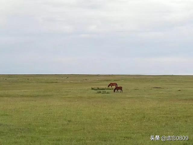 扇蕨
:国内旅行，你还有哪些地方想去还没去? 是什么吸引了你？