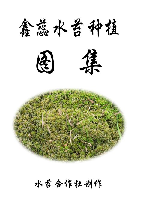 水苔哪里可以采集到，水苔是什么长在什么地方